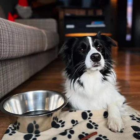 1010 M Alpesi faház